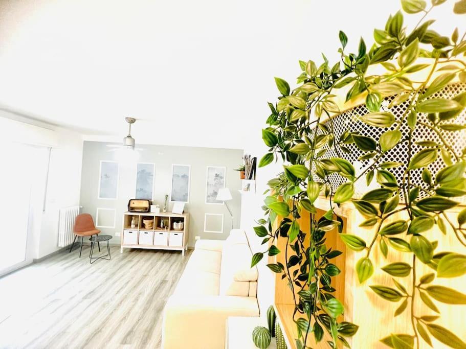 Suite Colibri - Sanremo Centro Dış mekan fotoğraf