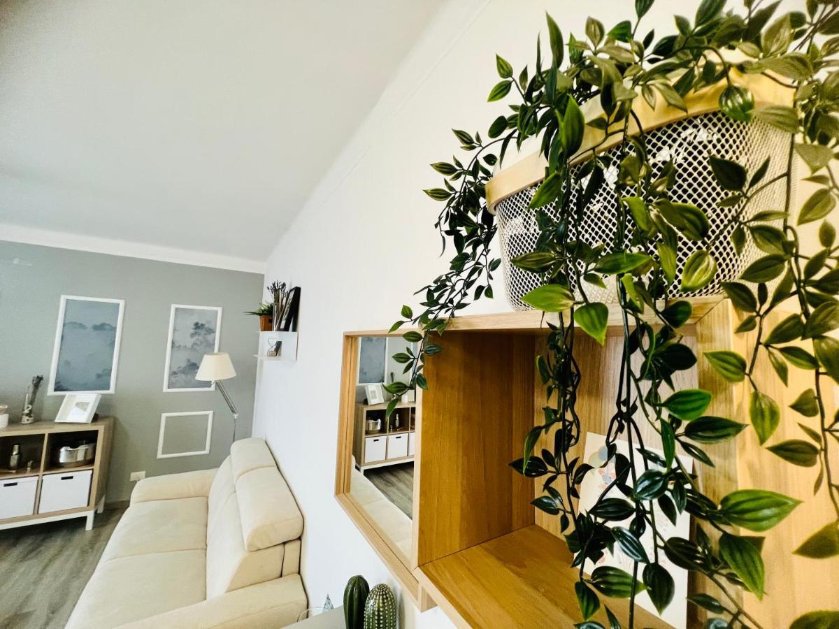 Suite Colibri - Sanremo Centro Dış mekan fotoğraf