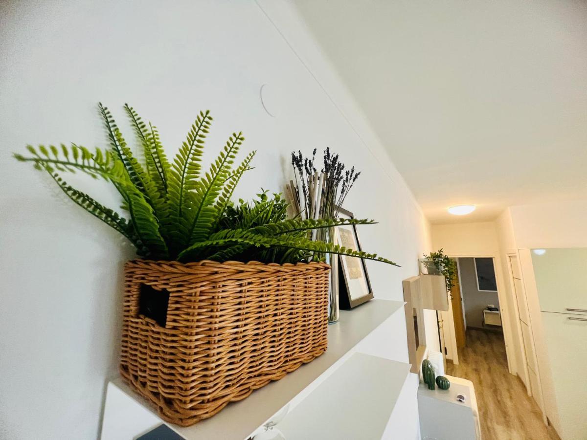Suite Colibri - Sanremo Centro Dış mekan fotoğraf
